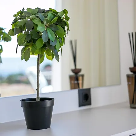 Blue Sunrise 2 * Afantou